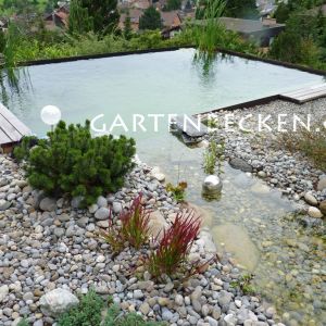 Gartenbecken 064